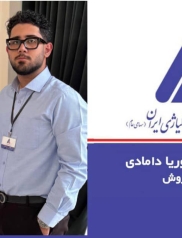 مهندس سید پوریا دامادی