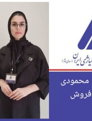 مهندس زهره محمودی
