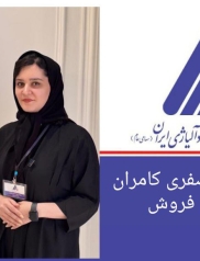 مهندس مهنا صفری کامران
